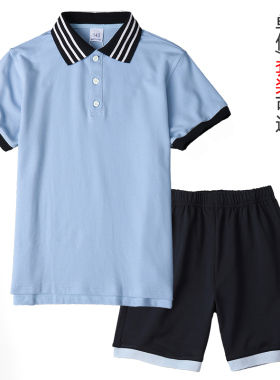 【现货】男童蓝色t恤短袖儿童女童夏季套装纯棉小学生校服polo衫