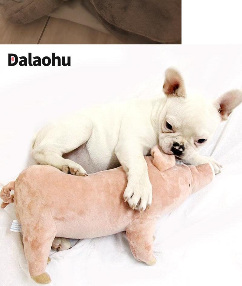 Chó đồ chơi cắn chó con chó con lông cừu đi kèm với đối tác ngủ Teddy pet estrus venting nam chó mèo cung cấp - Mèo / Chó Đồ chơi đồ chơi cho chó gặm