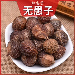 无患子广西木患子肥珠子油珠子菩提子