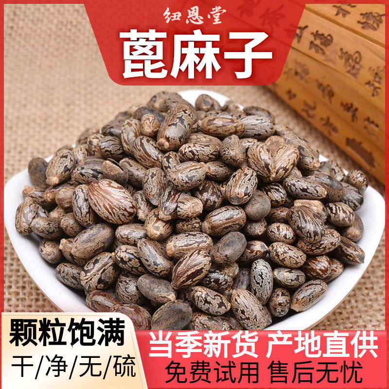 纽恩堂 蓖麻子 云南蓖麻籽仁大麻子饱满散装