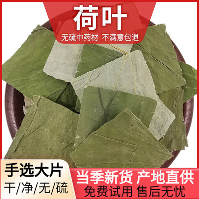 纽恩堂荷叶散装中药材