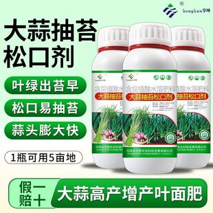 大蒜返青抽苔肥抽苔松口剂蒜苔反青抽苔剂大蒜膨大素专用叶面肥