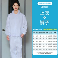 Раздельный лонгслив с капюшоном, нарукавники, белый комплект, штаны