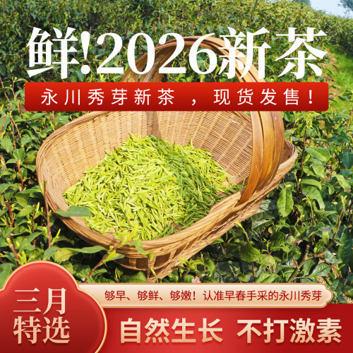 2026新茶永川秀芽现货当天发！