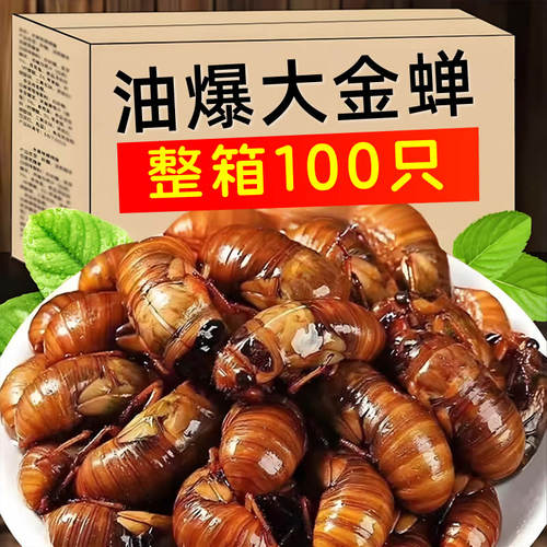知了猴开袋即食油炸金蝉知了猴熟食新鲜蝉蛹油炸500只香辣爬叉