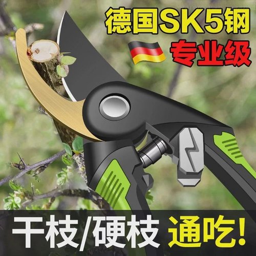 德国工艺剪刀修枝剪果树园艺剪修粗枝专用家用园林树枝剪子修花剪
