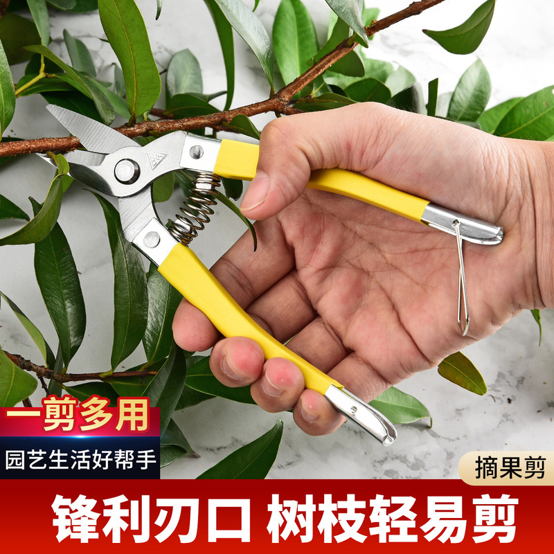 【销量爆火】不锈钢摘果剪修枝剪