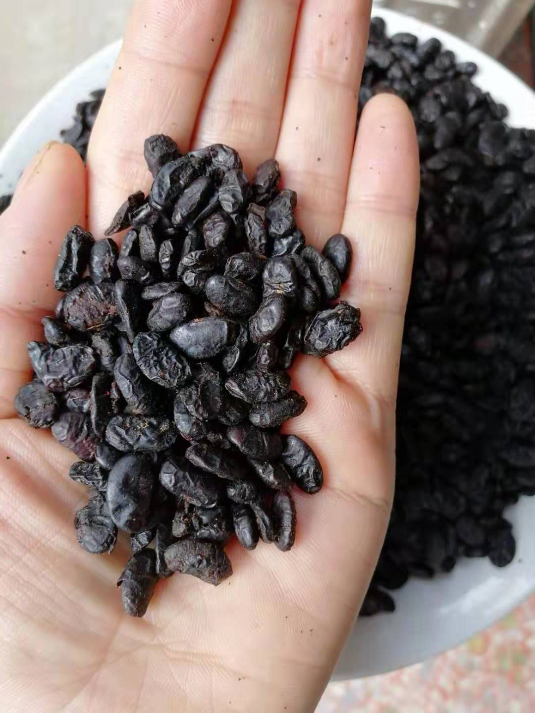 湖南永州道县道州特产农家自制黑豆鼓干豆鼓炒菜蒸鱼豆鼓500克