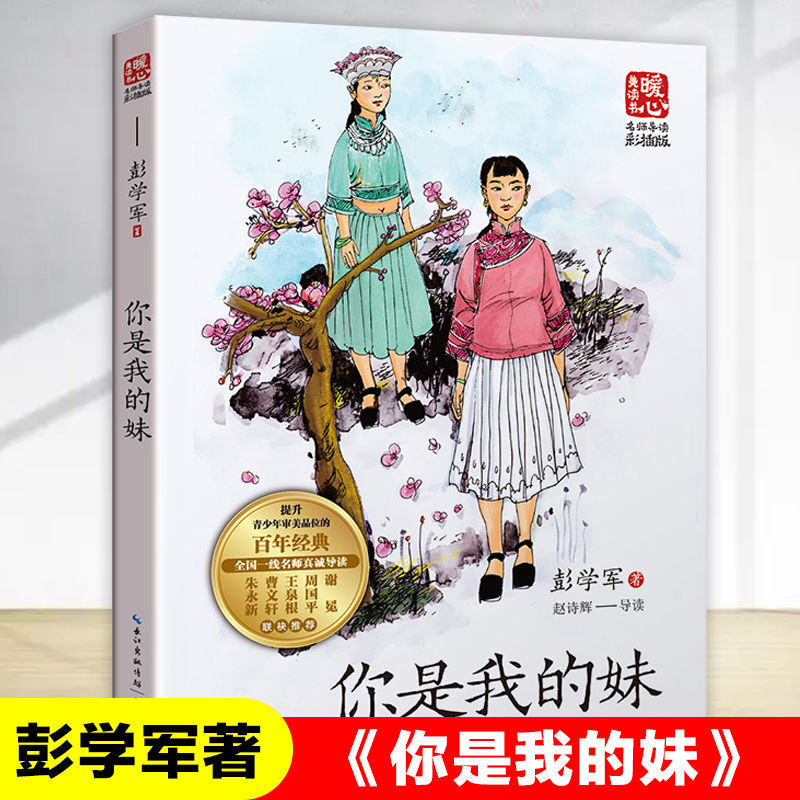 你是我的妹名师导读版