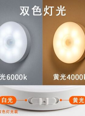 Motion Sensor LED Night Light USB Rechargeable Lamp