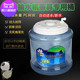 dispenser small bucket Water pure water drinking