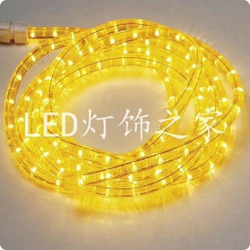 二线黄光暖绳 30灯米泡 虹管 非led灯带彩广告图z案轮廓光灯