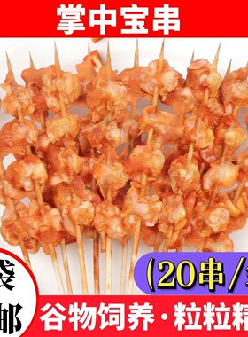 20串掌中宝串烧烤食材鸡脆骨半成品冷冻油炸鸡肉串鸡膝软骨串商用