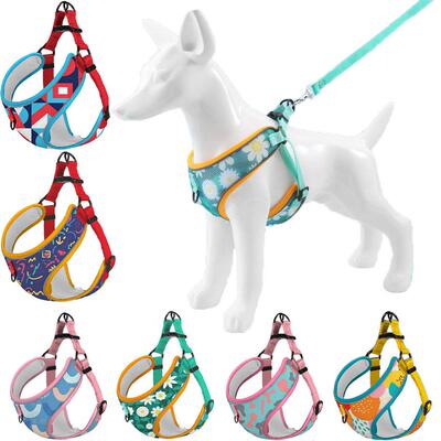 Reflective Pet Dog Harness And Leash Set Comfort Breathable