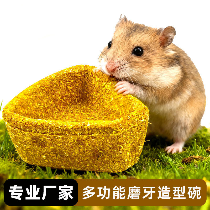 仓鼠磨牙奶酪碗 仓鼠兔子宠物造景营养零食磨牙棒金丝熊解闷玩具,宠物/宠物食品及用品,鼠粮,淘宝优惠券,粉丝福利购,淘宝优惠卷