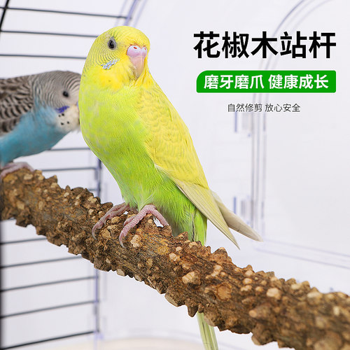 花椒木站杆鹩哥八哥画眉鹦鹉鸟站杠磨爪棒栖息杠站杆鹦鹉磨嘴站架 - 封面