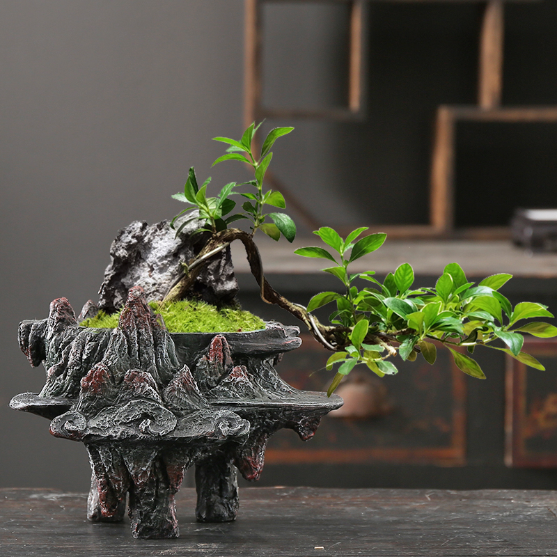 创意盆景盆中国风文竹盆栽