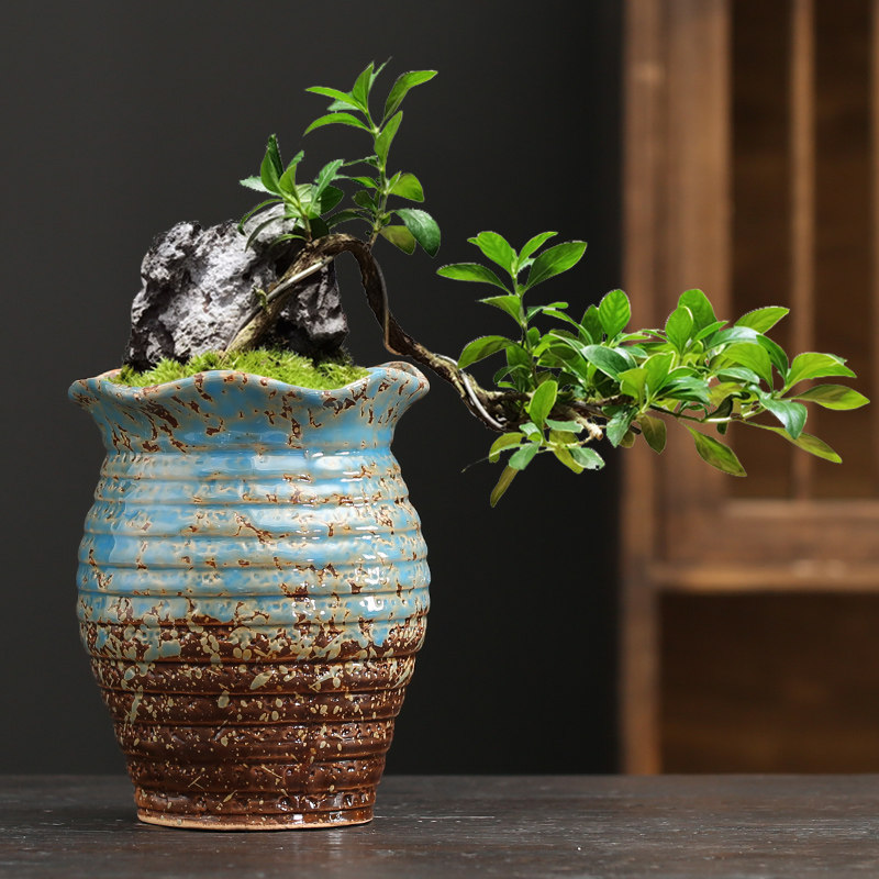 老桩多肉花盆陶瓷高透气粗陶多肉法师植物花盆器紫砂大号陶罐批发,鲜花速递/花卉仿真/绿植园艺,花盆,淘宝优惠券,粉丝福利购,淘宝优惠卷