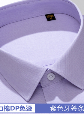 男士弹力棉DP免烫透气紫色衬衫 男装商务正装职业工作服长袖衬衣