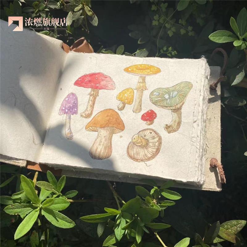 东巴纸旅行本 水彩手账本 绘画书写本 丽江纯手工装订毛边纸本