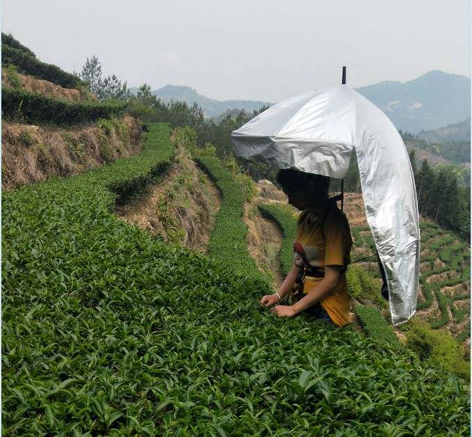 宁采臣的背包伞干活工作防晒可背式遮阳伞采茶钓鱼摆摊披风伞雨伞