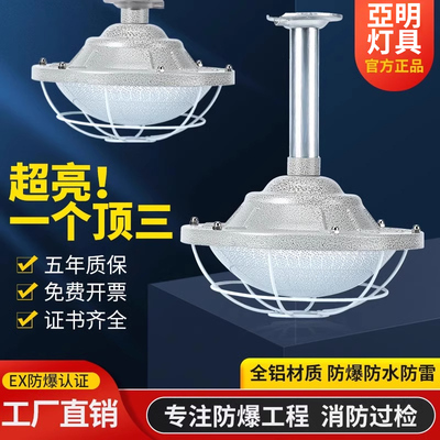亚明led防爆灯仓库厂房加油站车间工厂防水灯罩隔爆型照明地雷灯