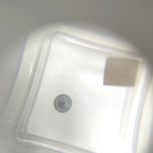 手表机芯配件 瑞士 3135机芯配件 陀芯 3135-568 陀钉 代用驼钉