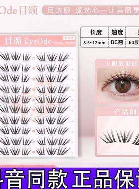 EyeOde目颂法式小珊瑚假睫毛清冷韩系浓密单簇仿真分段式正品d