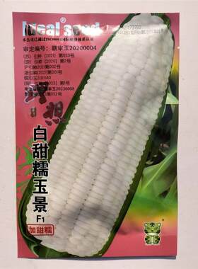理想农业白甜糯玉景玉米种籽甜加糯玉米鲜食大棒粘糯玉米种籽高产