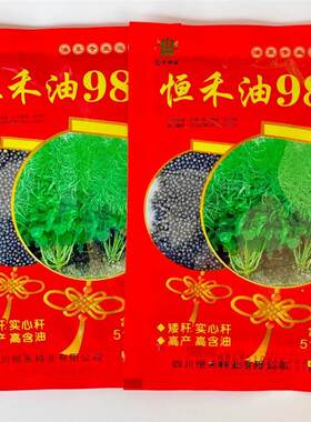 恒禾油985油菜种高产甘蓝型油菜籽矮杆黑油菜子杂交早熟含油量高