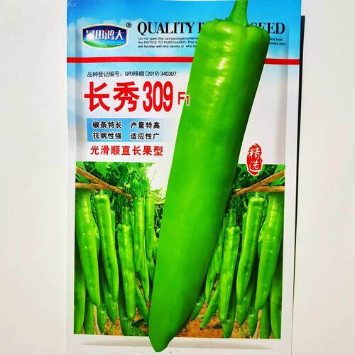长秀309黄直皮尖椒种子中辣顺果高产抗病商品性长农家春秋佳 MVC