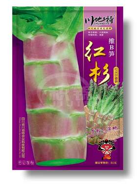 川地特红杉莴笋种子富含丰富的维B笋蔬菜种子红尖叶莴笋红皮绿肉