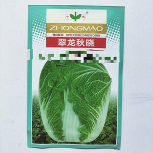 翠龙秋晓大白菜种子10克 20克
