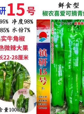 镇研15号辣椒种子早熟杂交大果牛角椒种籽微辣青红两用春秋高产