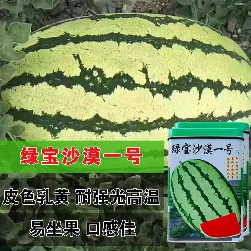 绿宝沙漠一号大果型西瓜种子花皮椭圆型抗病高产耐运输大红瓤西瓜