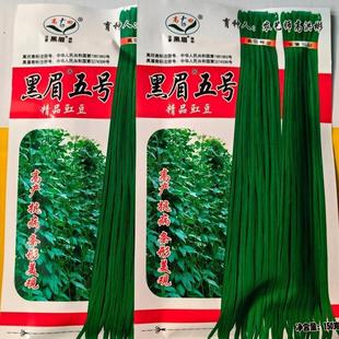 黑眉五号豆角种子原厂150克