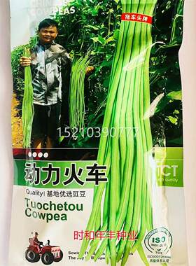 高产豆豇豆种子EUW动力四火车长豆家角种农菜园基地春秋季角季豆