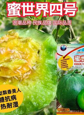 蜜世界四号甜瓜种子超甜冰糖心绿宝瓜种甜脆香蜜高糖抗病薄皮香瓜