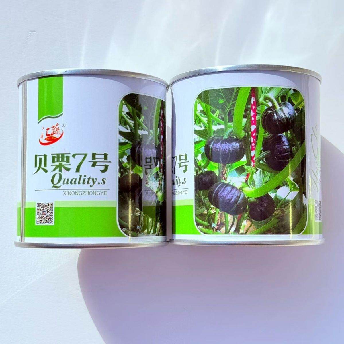 贝栗7号南瓜种子超矮50粒罐装袖珍圆形当季