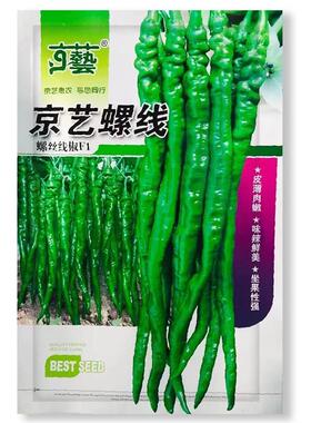 京艺红螺线 长果线螺丝种子椒早熟青两用LTV辣味浓露地大棚均可种