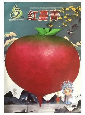 红蔓菁种子甜面黄色长蔓菁特色菜诸葛菜抗病大田芜菁蔬菜种子
