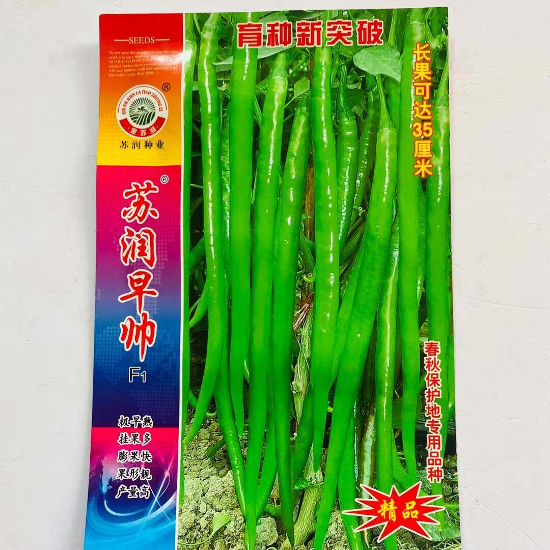 苏润种业早帅辣椒种子早熟长线椒种籽翠绿厚肉辣味浓高产抗病强