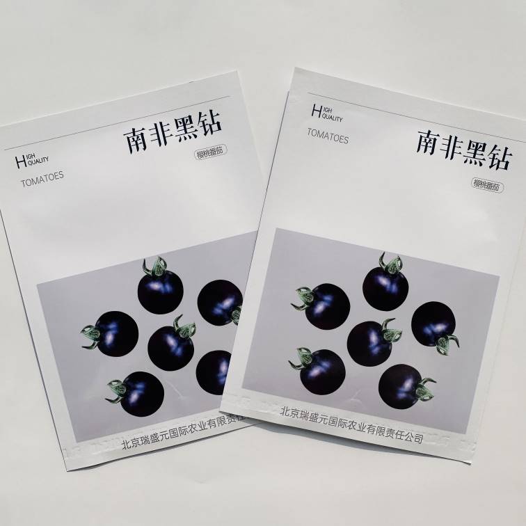南非黑钻无限生长黑番茄种子果实颜色转色浅蓝黑色口感好番茄种子
