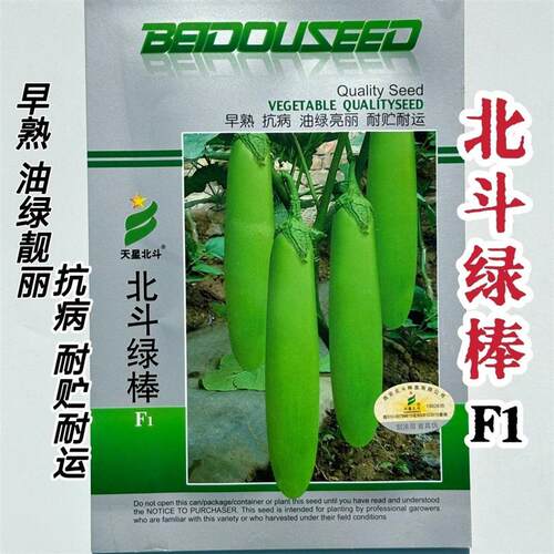 天星北斗绿棒长茄子种子油绿长茄种籽早熟油绿大果茄子抗病强春秋