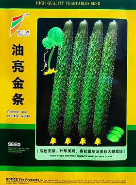 油QBO亮黄瓜种子绿心绿秋肉密刺条长黄瓜种籽金春播青瓜种孑耐热