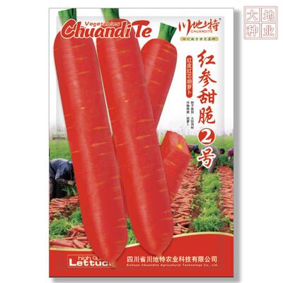 品川地特红参脆2种号胡萝卜子中WOX熟种生熟均可食用基地专甜用种