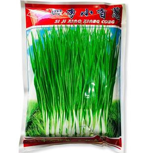 四季小香葱种子 清SOX香味浓阳盆蔬菜栽种子四季葱种籽 南台方小