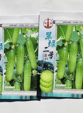 环农黄瓜种子翠绿二号黄瓜登记品种圆棒状口感甜脆清香可口黄瓜种