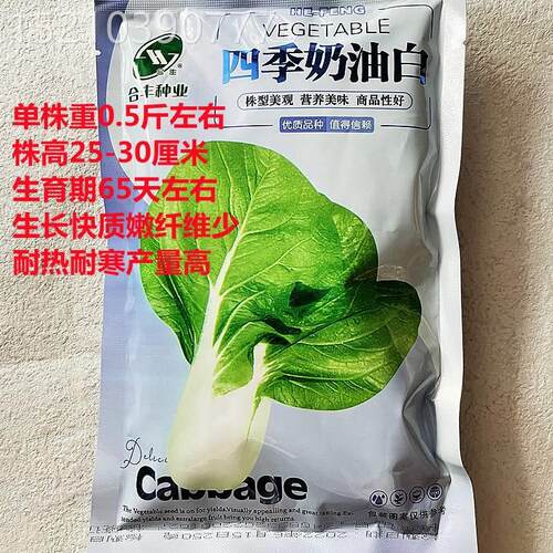 四季台奶油青白种子耐热耐寒生快长XDF小白菜种籽菜阳大田农家蔬