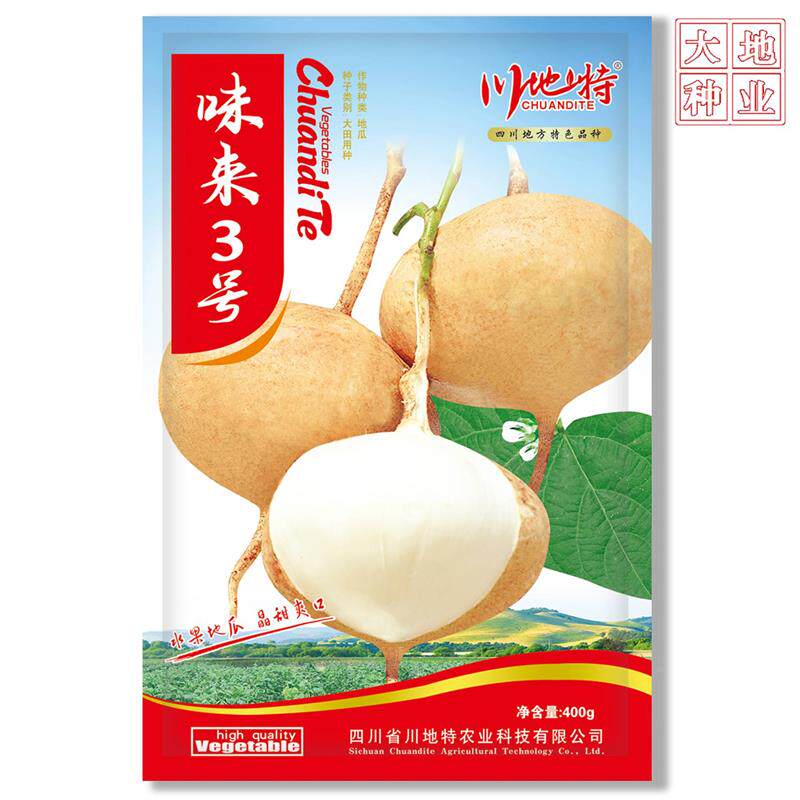 地特味川来号 早KYR水熟果地瓜种子口感嫩脆3入口化渣味甜基地专